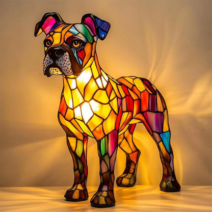 Luminária Boxer Esplendoroso